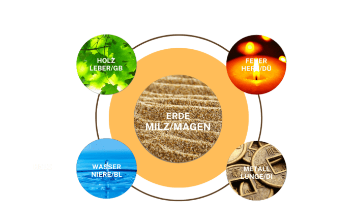 Verdauungsprobleme und Unverträglichkeiten können von einem MILZ-QI Mangel kommen. Erdelement - Element Erde in der TCM