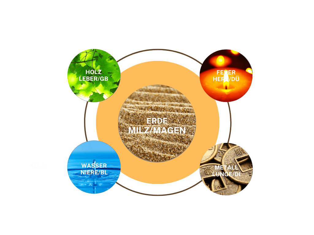 Verdauungsprobleme und Unverträglichkeiten können von einem MILZ-QI Mangel kommen. Erdelement - Element Erde in der TCM