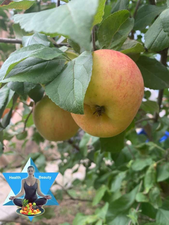 Apfelessig selbstgemacht Rezept wie du aus Äpfeln selbst einen Essig machen kannst.