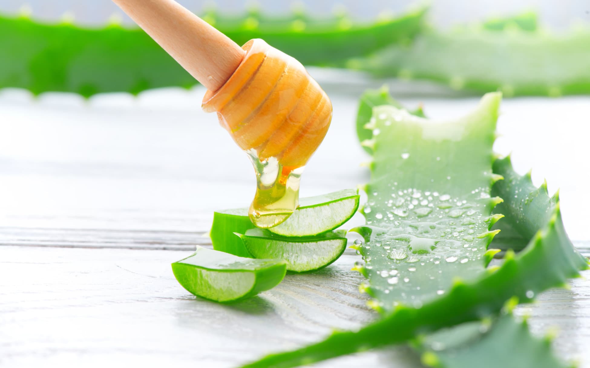 Aloe Vera Saft mit Honig trinken (3) Aloe Vera Saft trinken mit Honig für den Stoffwechsel, den Darm, gegen Übersäuerung und Müdigkeit