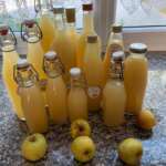 Naturtrüber Apfelessig selber machen Rezept aus Äpfeln, Trester oder Apfelsaft - Fermentieren, vergären von Äpfeln, haltbar machen, Essig selber machen