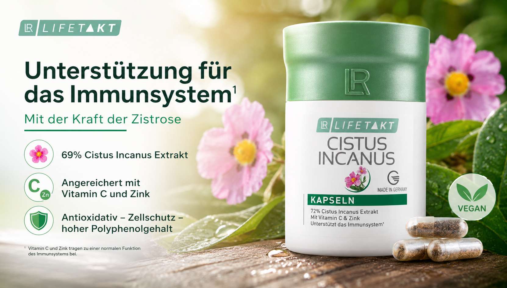 Cistus Incanus ssp tauricus Kapseln natürlich Immunstärkend
