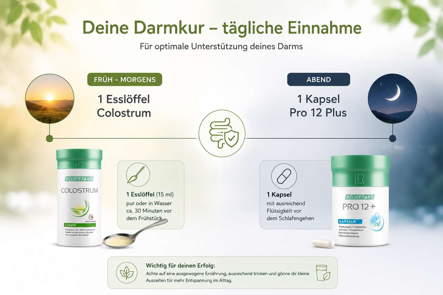 Darmkur 8 Colostrum und Pro 12 Plus von LR Einnahmeempfehlung