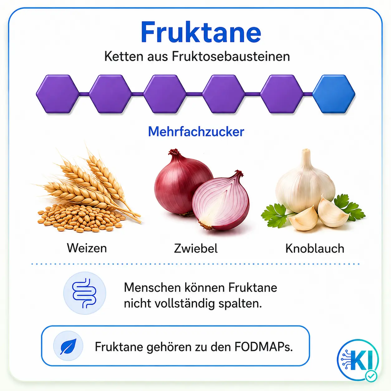 Fruktane in Weizen, Zwiebeln und Knoblauch Mehrfachzucker Fruktane