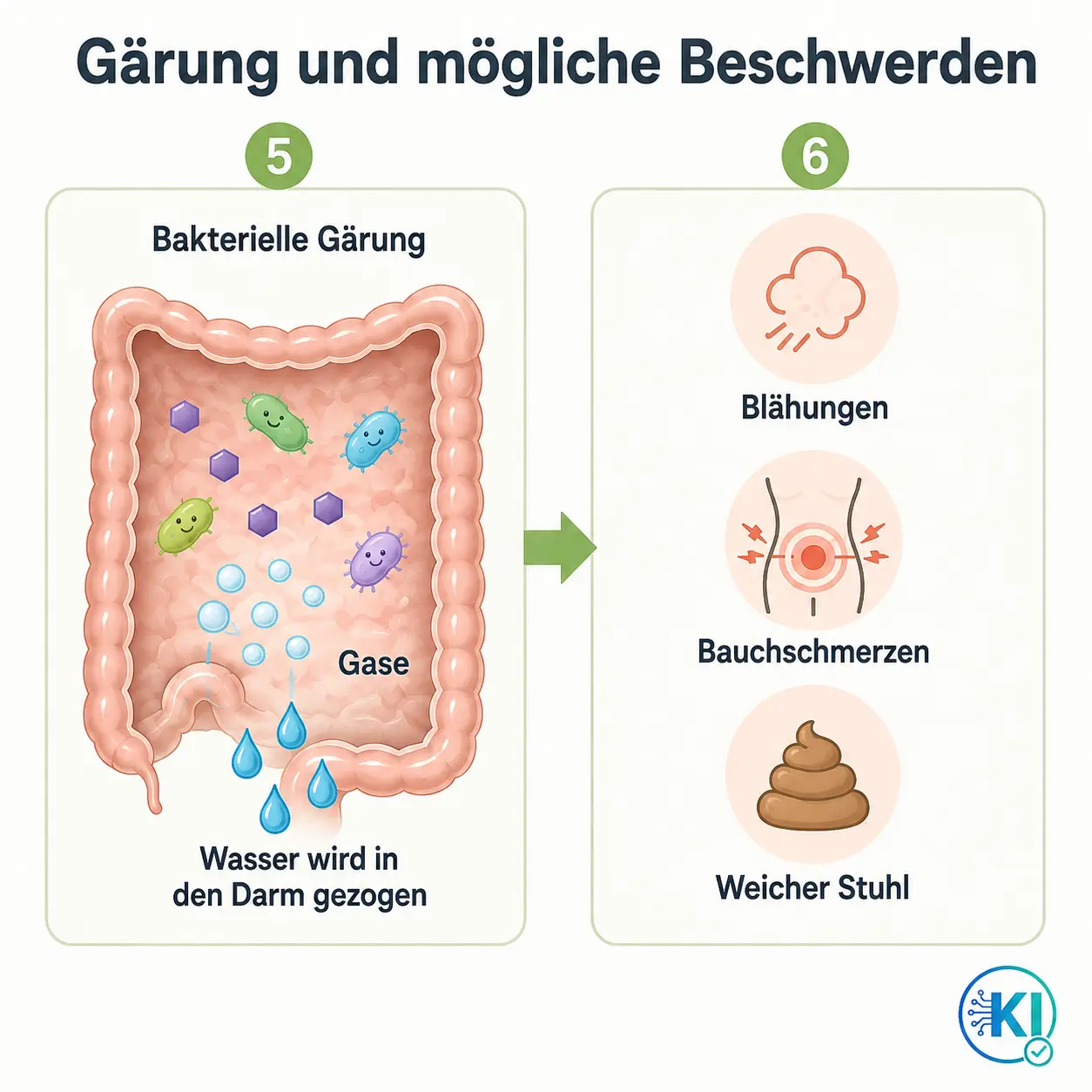 Gärung und mögliche Beschwerden Durch die Vergärung entstehen Blähungen, Blähbauch, Durchfall