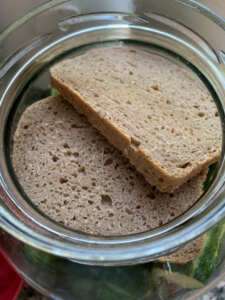 Fermentierte Gurken Salzgurken Rezept pikant ungarische Art mit Brot