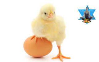 Henne oder Ei - Unverträglichkeiten und Darmprobleme oder Bauchbeschwerden - was war zu erst da?