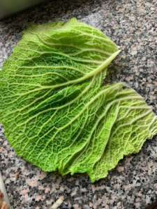 ketogene Kohlrouladen - Rezept - Kohlblätter Wirsingblätter vorbereiten blanchieren