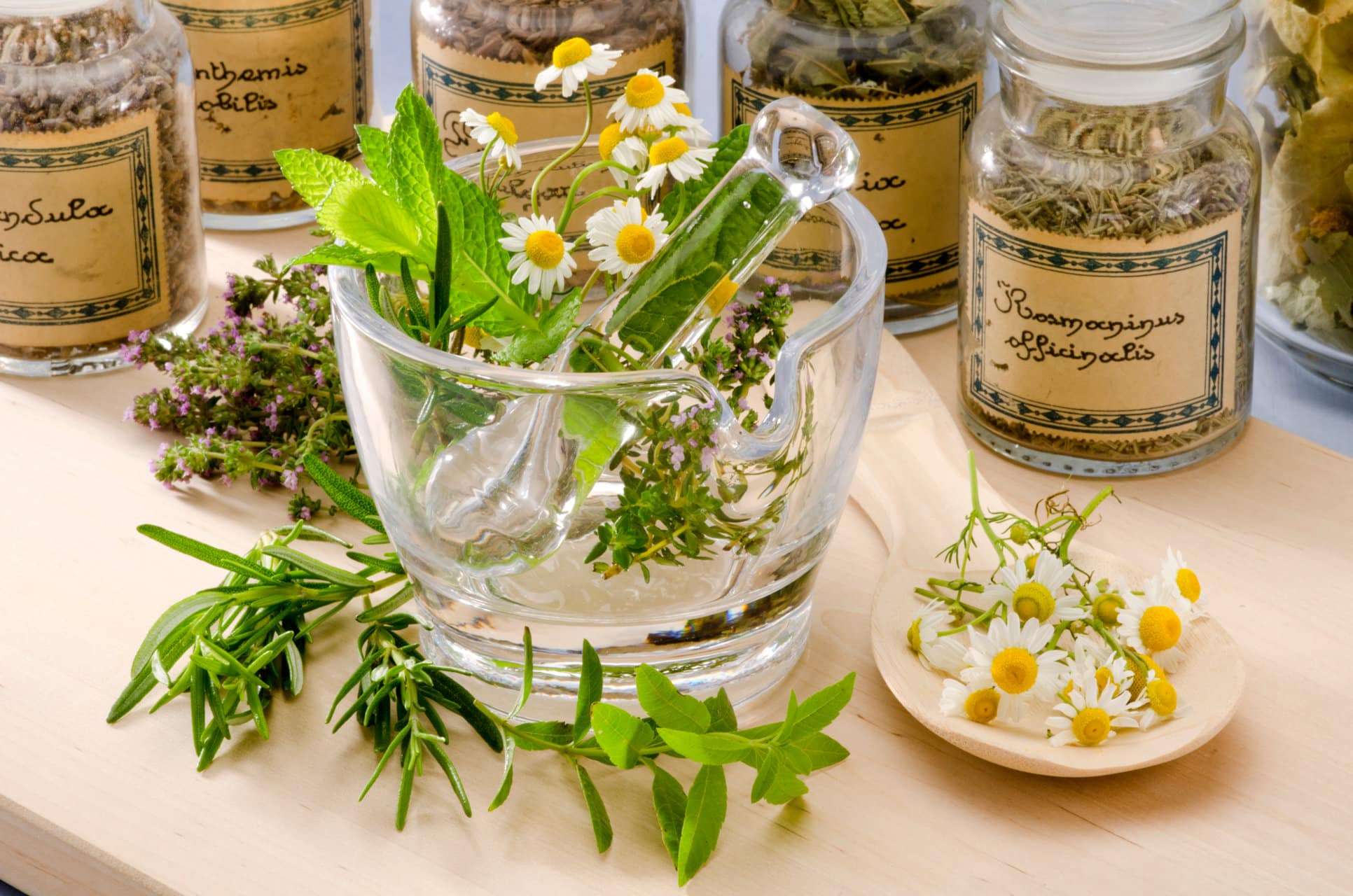 Was tun bei Krebs? Kräuter und Gewürze können deine Ernährung bei Krebs positiv unterstützen.