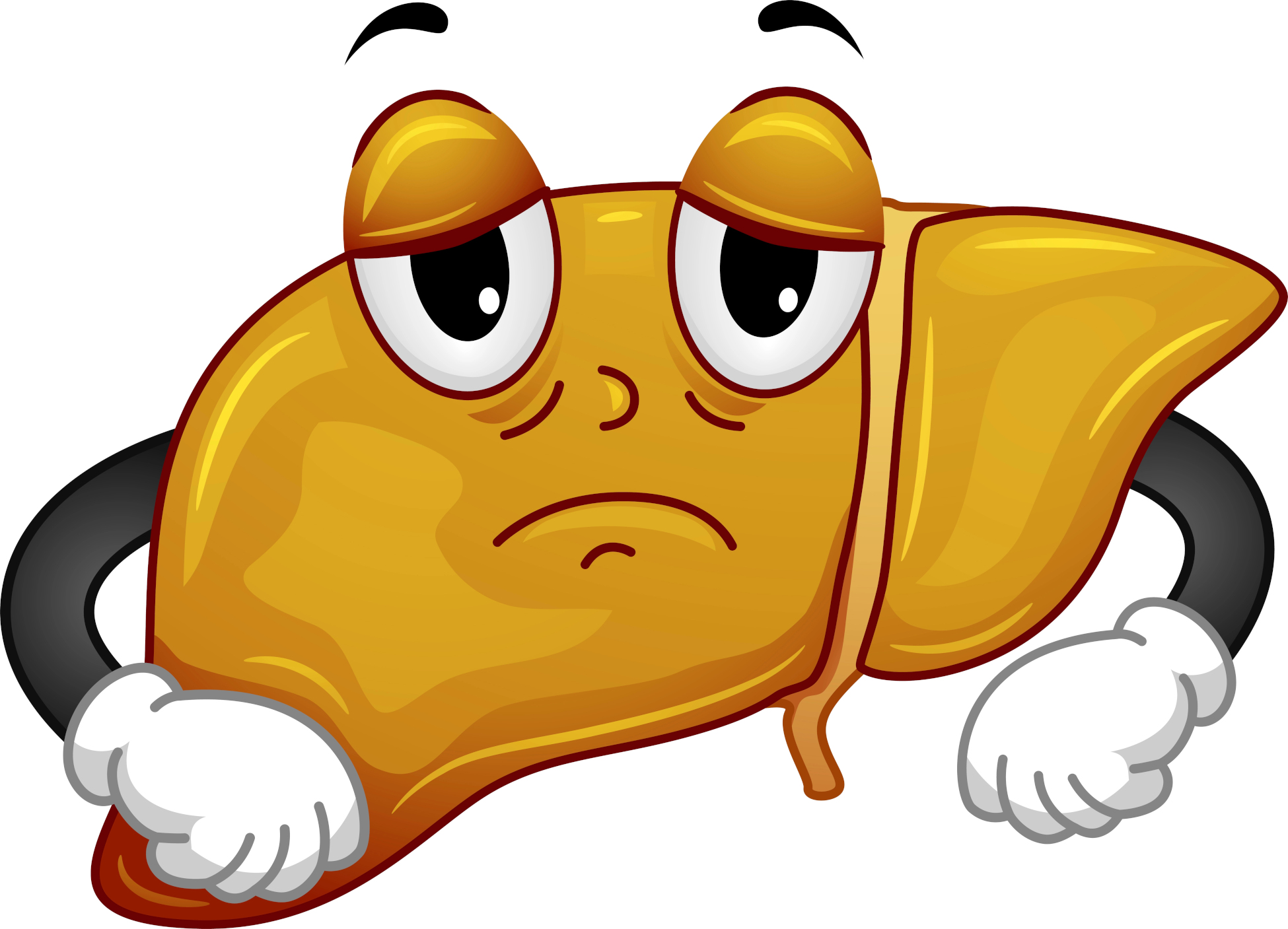 Die 5-Tages-Leberkur zur Regneration