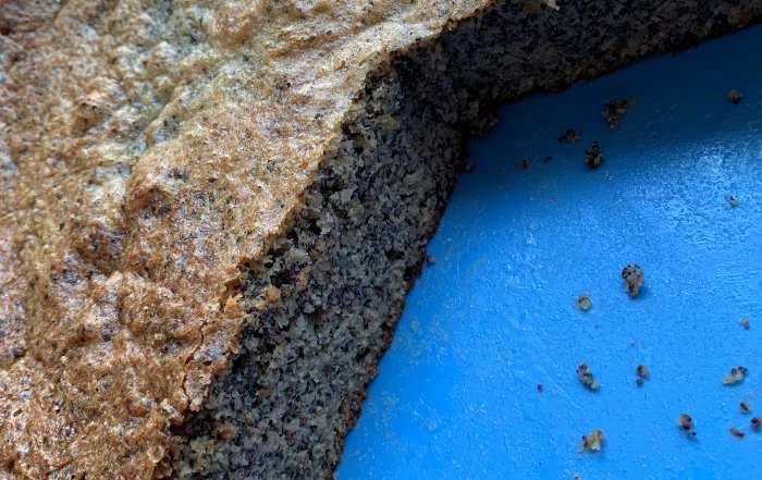 Mohn-Nuss-Kuchen