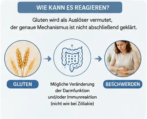 Nicht_zoeliakie_gluten_sensitivitaet3 Sind Gluten die Auslöser für die Beschwerden?