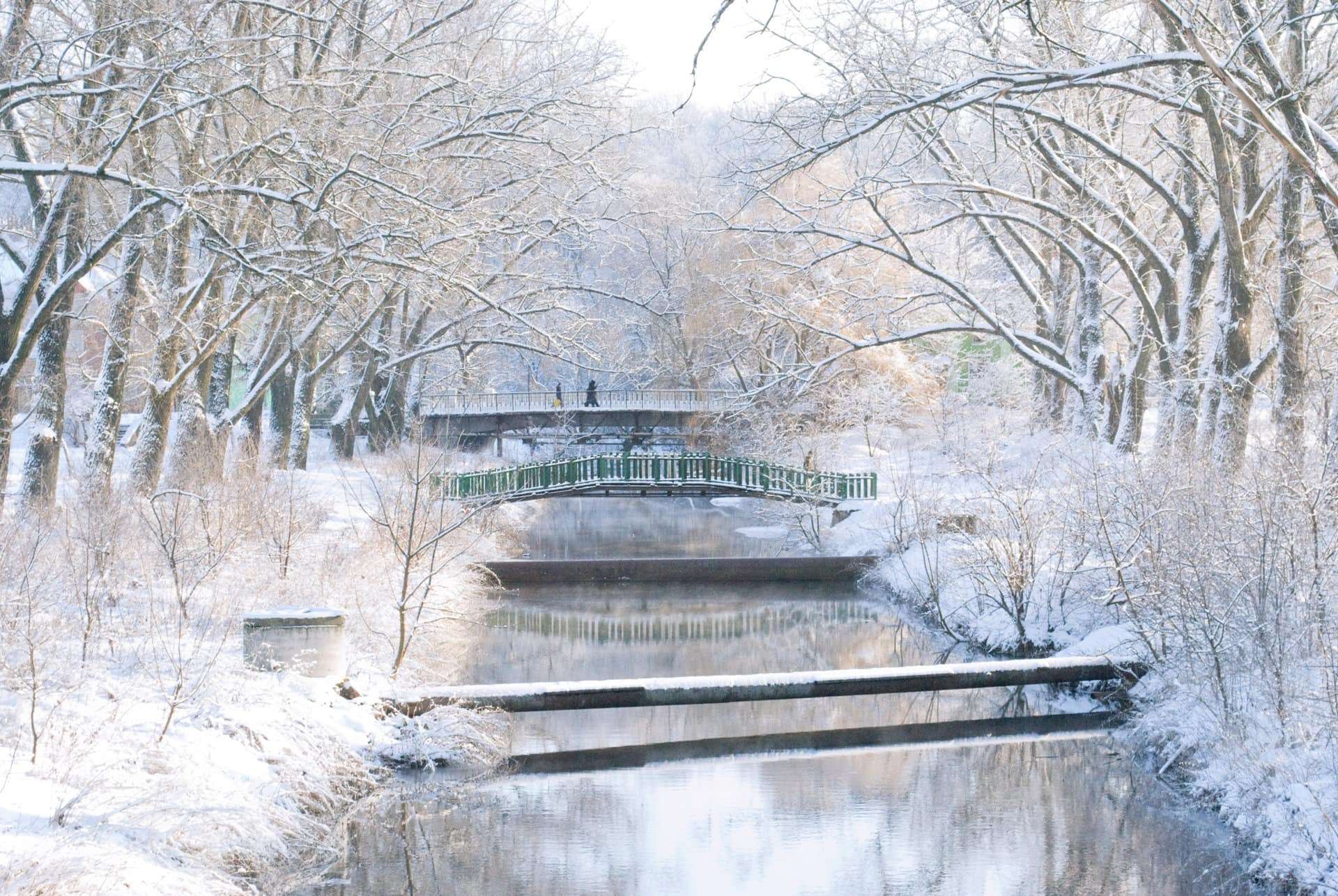 Winter (1) Die Winterzeit entspricht dem Funktionskreis Niere in der chinesischen Ernährungslehre und Medizin
