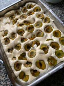 Low Carb Zwetschkenkuchen Pflaumenkuchen Rigonen glutenfrei