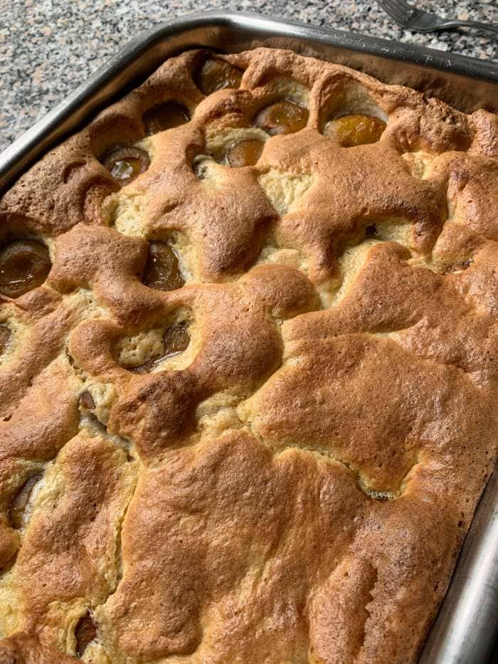 Zwetschkenkuchen_ketogen (6) Ketogener Zwetschgenkuchen, Pflaumenkuchen oder auch Reneklodenkuchen - ohne Zucker, Gluten und Kuhmilch