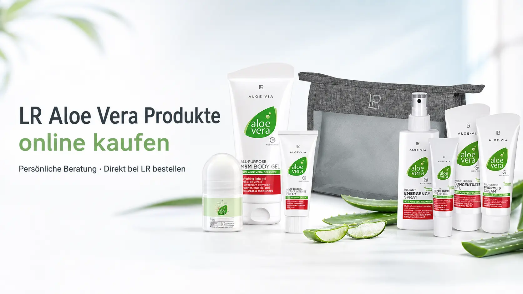 Aloe Vera kaufen 2 Aloe Vera kaufen online Shop direkt bei LR