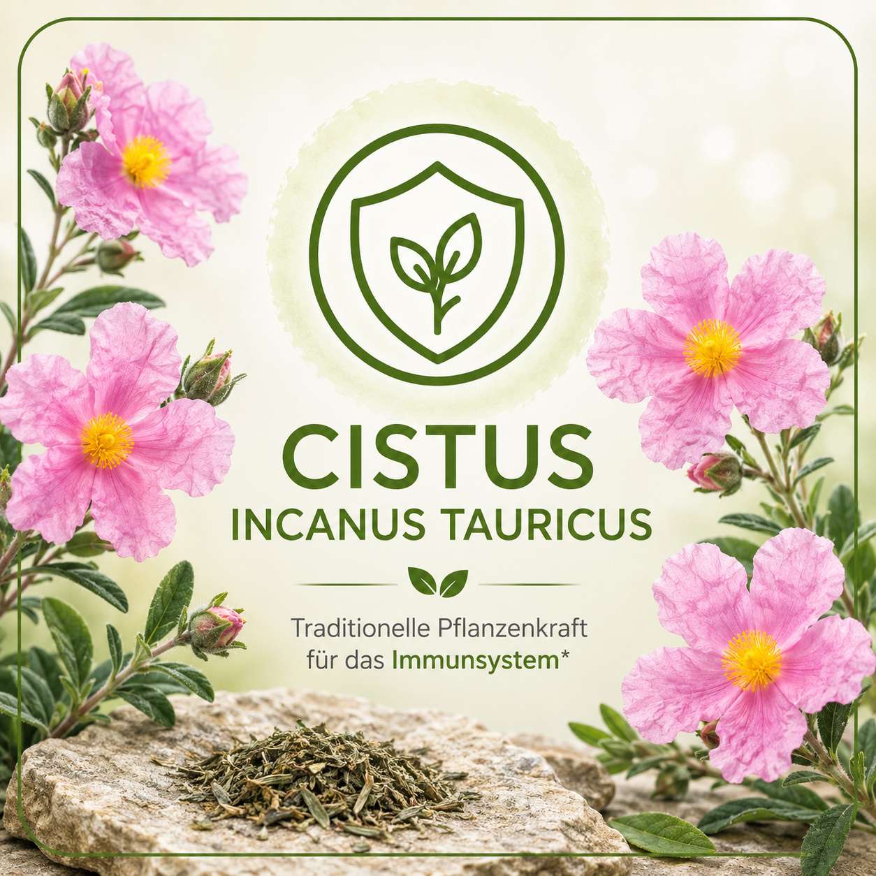 Cistus gegen Zecken, Viren, und als >Zellschutz