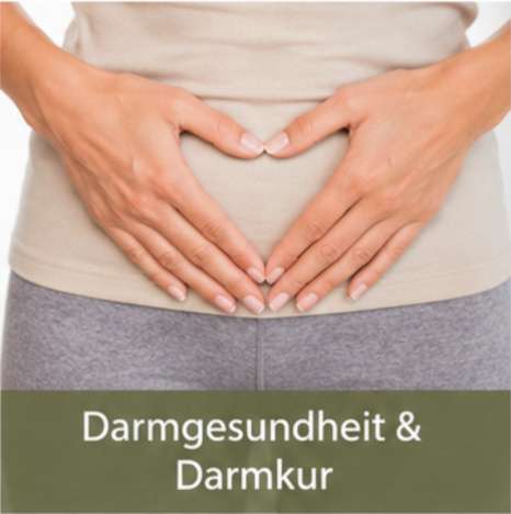 Leistungen Vitalmesszentrum Wien 6 Einfache Darmkur für mehr Darmgesundheit und einen ruhigen Bauch