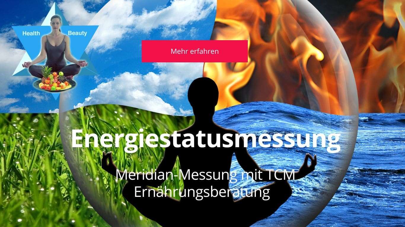 Energiestatusmessung und Ernährungsberatung nach der TCM - in Wien und Niederösterreich - auch Online