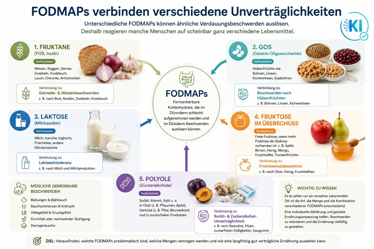 fodmap_verschiedene_unvertraeglichkeit Fodmaps verbinden die unterschiedlichen Unverträglichkeiten