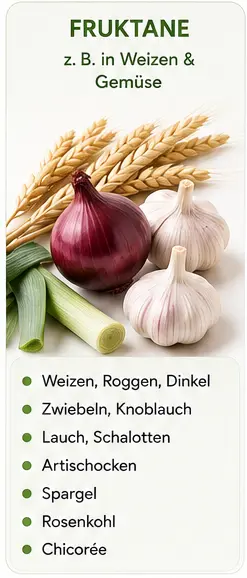 Fodmaps 1 Fruktane kommen im Getreide und in den Zwiebelgewächsen vor