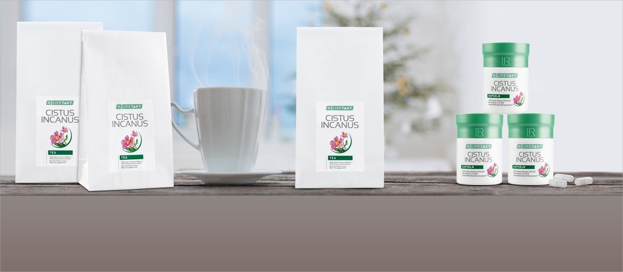 heroteaser-11-2018-cistus-incanus-winter-cure_Teaser_Desktop Cistus Tee Cistus Kapseln kaufen LR Produkte kaufen