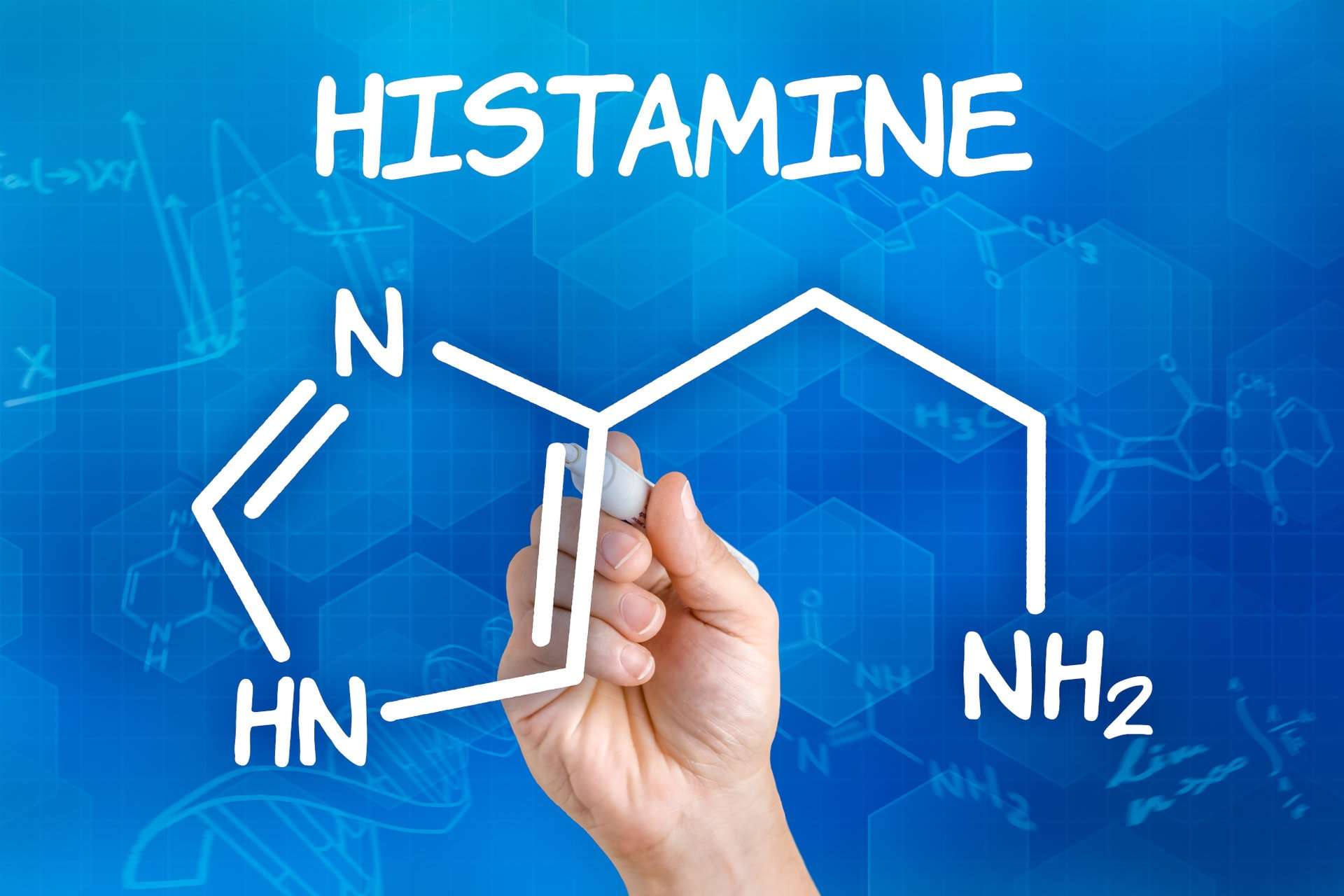 Histaminunverträglichkeit im Vitalmesszentrum in Wien testen auch wenn Histamintest auf Enzym negativ.