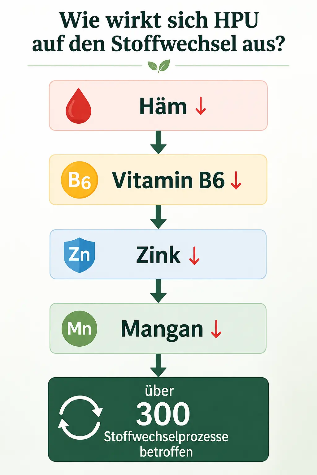 hpu_vitamine Vitamin B 6, Zink, Mangan haben wichtige Funktionen im Stoffwechsel.