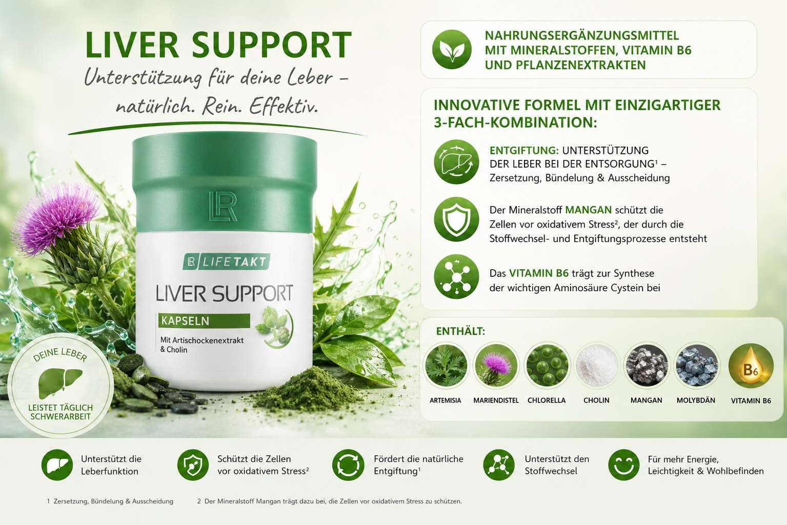 liver-support LR Liver Support zur Unterstützung der Leber