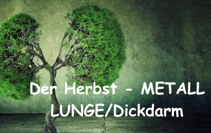 Herbst Element Metall in der TCM Funktionskreis LUNGE/Dickdarm