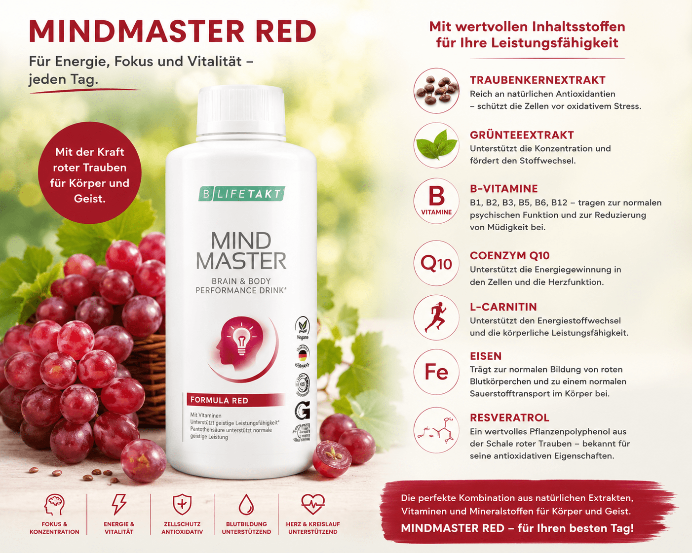 Mindmaster gegen Stress 3 Mindmaster Red Formular Nahrungsergnzung gegen Stress mit OPC
