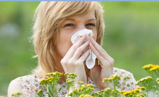 Pollenallergie und Allergie gegen Gräser natürlich bekämpfen TCM LEBER-Zeit