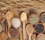 Getreide-Grundrezepte nach TCM 13 Getreide in der TCM