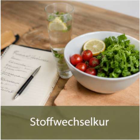 Leistungen Vitalmesszentrum Wien 7 Stoffwechselkur mit Aloe Vera Health Mission