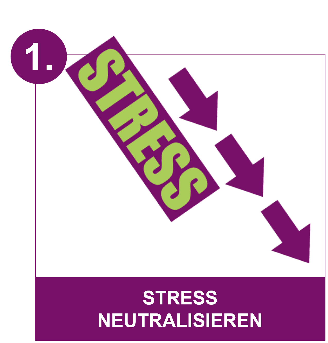 Mikronährstoffe Vitalstoffe gegen Stress B-Vitamine ruhiger werden gegen Burnout