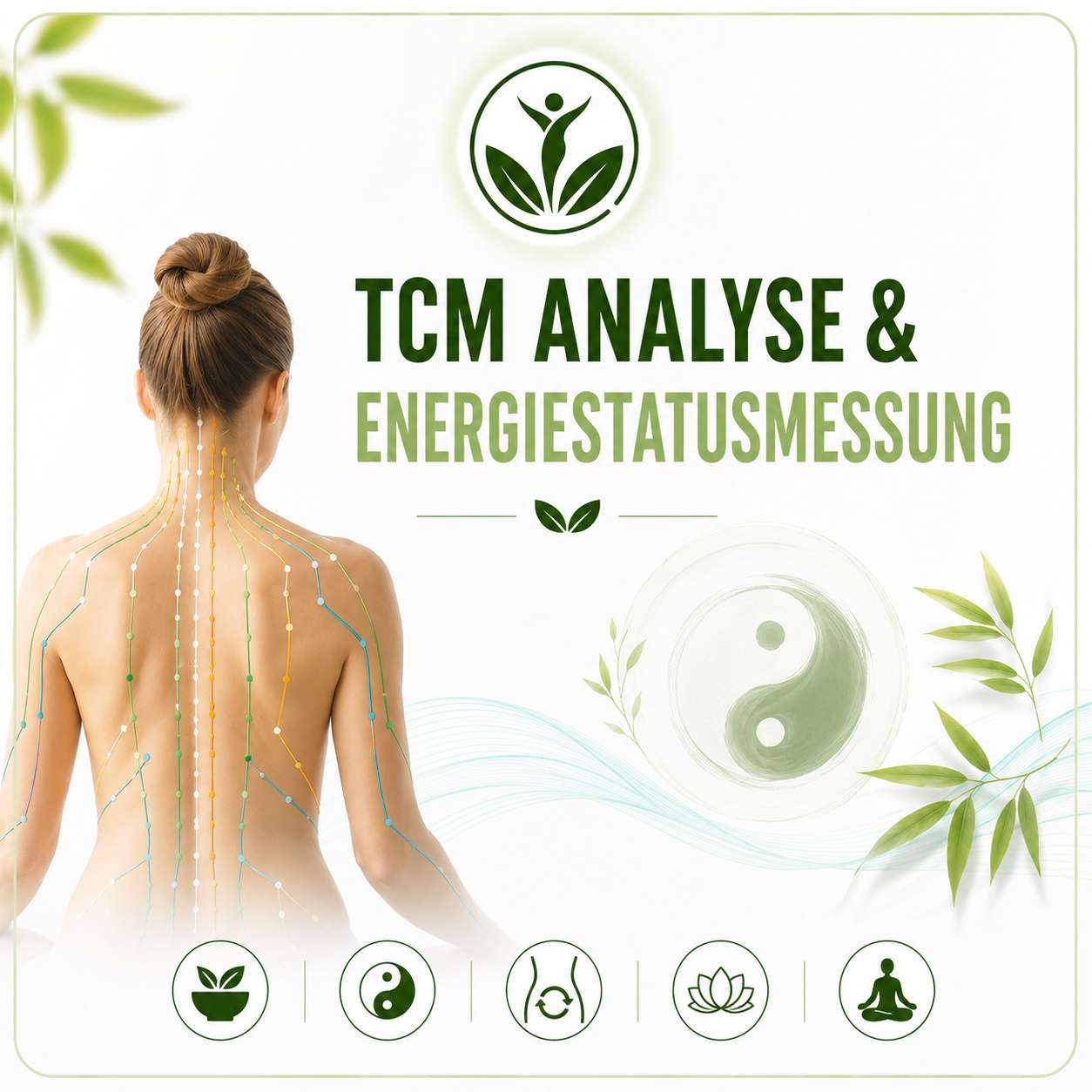 Leistungen Vitalmesszentrum Wien 13 TCM Beratung in Wien - Gesundheitsberatung
