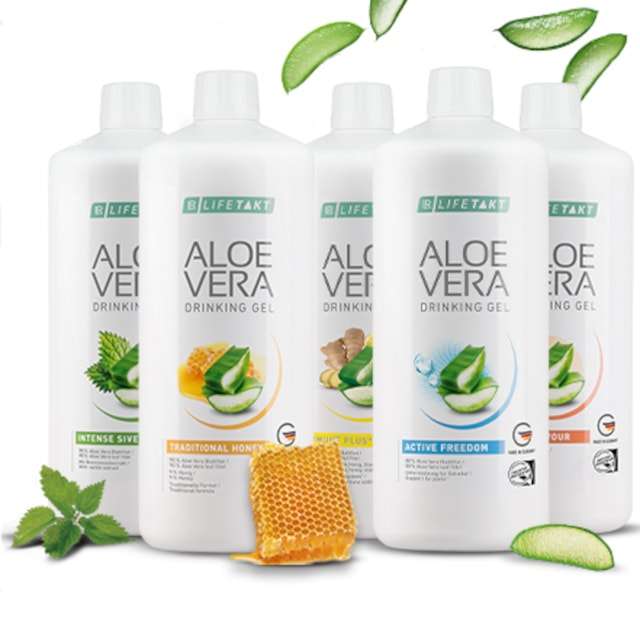 Aloe Vera in Wien oder im Onlineshop günstig kaufen mit Beratung und Service