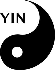 yin Aloe eine YIN Pflanze in der traditionellen chinesischen Medizin TCM