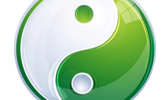 Das Yin und Yang in der chinesischem Medizin und der Ernährungslehre nach den 5 Elementen erklärt