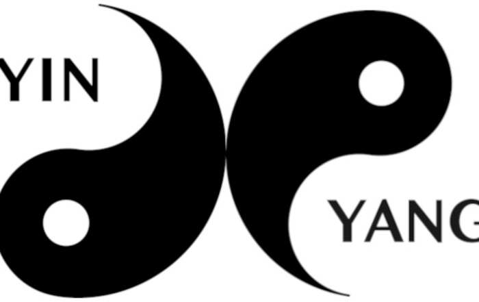 Das YIN und YANG in der chinesischen Medizin und Philosophie - Auf und Ab - Polarität