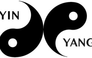 Disharmonien von Yin und Yang in der TCM
